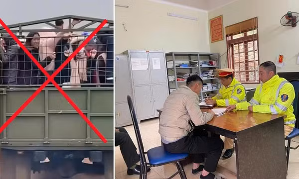 Tài xế chở người trên thùng xe ngắm hoa mận ở Sơn La