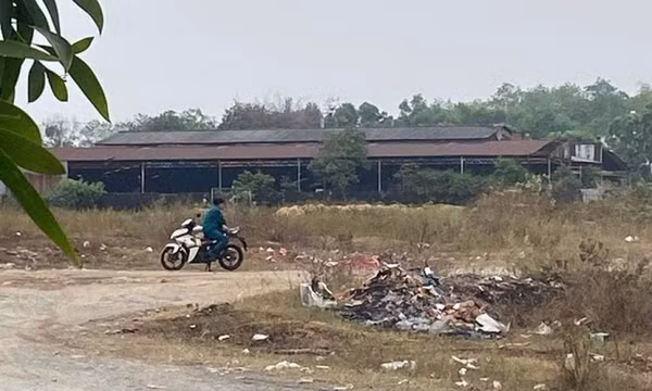 Tài xế xe công nghệ bị đâm sau lưng, cướp xe SH và điện thoại