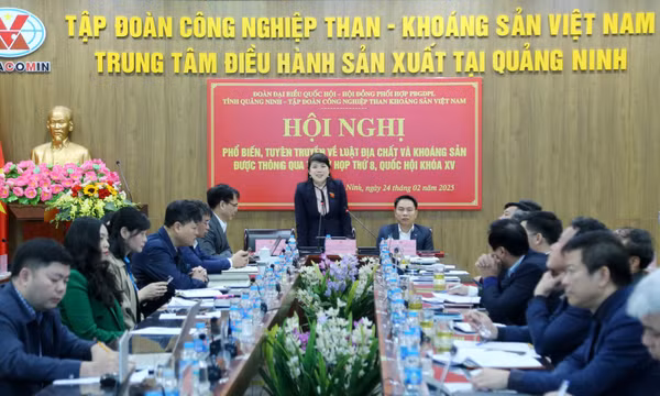 Phổ biến, tuyên truyền Luật Địa chất và Khoáng sản