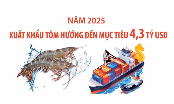Xuất khẩu tôm hướng đến mục tiêu 4,3 tỷ USD trong năm 2025