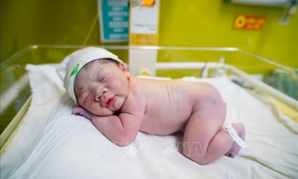 Trên 16.500 trẻ chào đời trong dịp Tết Ất Tỵ 