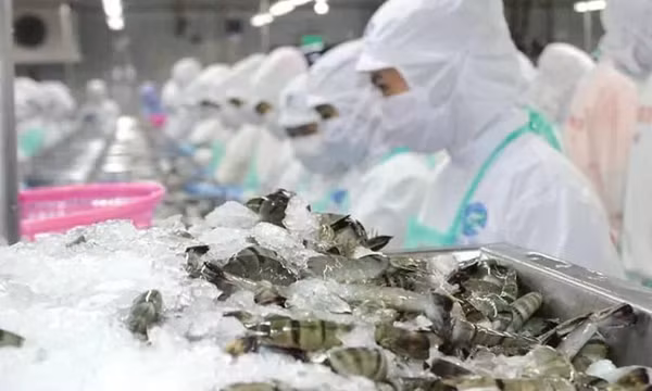 Tháng 1/2025, xuất khẩu thủy sản sang Trung Quốc tăng 80,8%