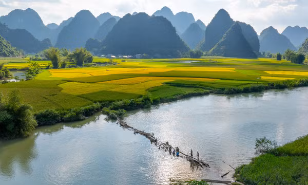Vạn dặm xanh dọc miền đất nước
