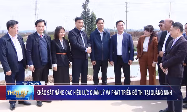 Khảo sát nâng cao hiệu lực quản lý và phát triển đô thị tại Quảng Ninh