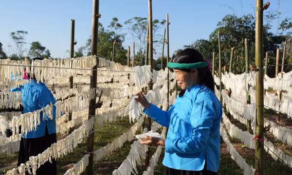 Nhân rộng mô hình chi, tổ hội nông dân nghề nghiệp
