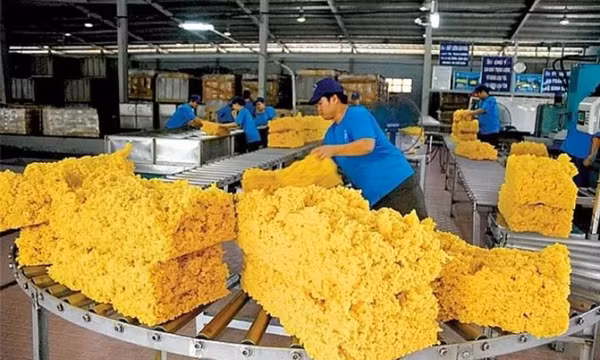 Xuất khẩu cao su giảm mạnh tháng đầu năm 2025