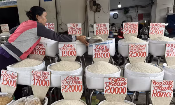 Lý do giá gạo bán lẻ giảm nhưng ít khách mua