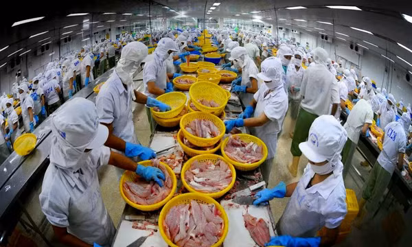 Xuất khẩu bằng thương hiệu riêng: Chìa khóa khai thác CPTPP