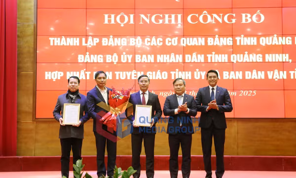 Công bố các quyết định thành lập và hợp nhất các Đảng bộ, cơ quan trực thuộc Tỉnh ủy, tháng 2-2025