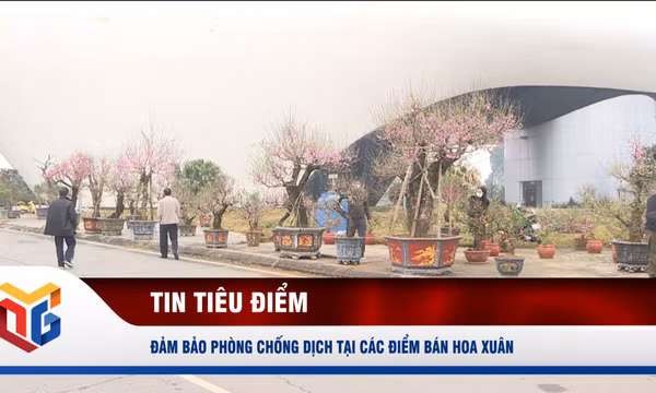 Đảm bảo phòng chống dịch tại các điểm bán hoa xuân