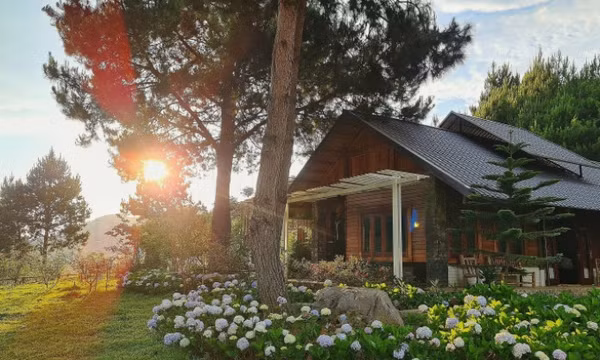Ăn chơi ở Mộc Châu mùa hoa mận