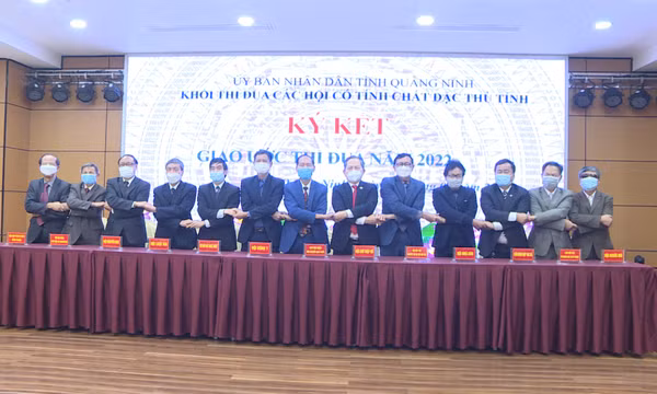 Khối các hội có tính chất đặc thù tỉnh phát động phong trào thi đua năm 2022