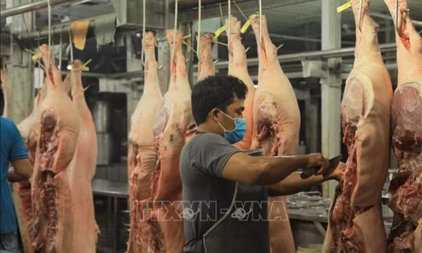 Đảm bảo sản xuất, nguồn cung thực phẩm chất lượng trong dịp Tết Nguyên đán