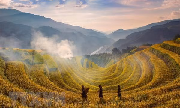 Ruộng bậc thang Mù Cang Chải đón nhận Bằng Di tích Quốc gia đặc biệt