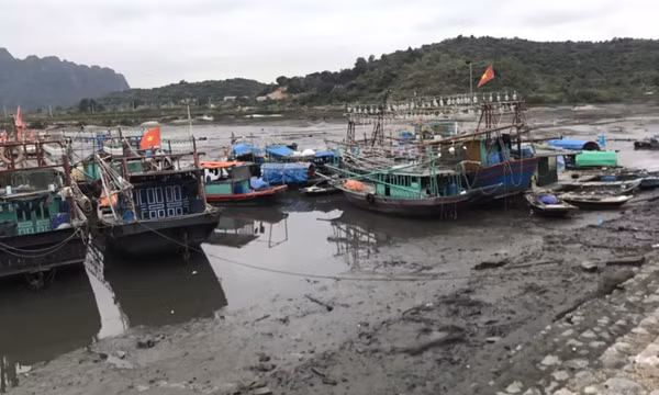 Cần sớm nạo vét luồng lạch vào cảng Cái Xà Cong