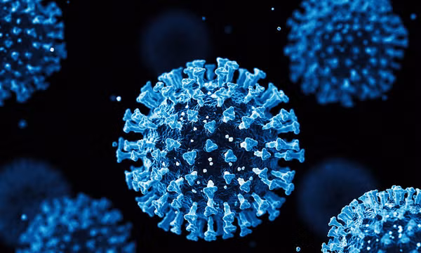 Các chuyên gia Trung Quốc tìm thấy chủng virus Corona mới