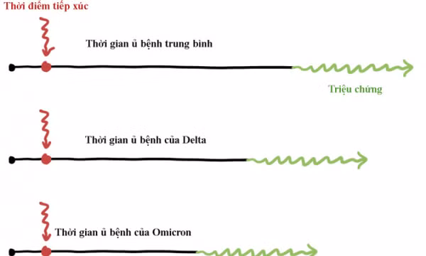 Omicron qua 5 biểu đồ