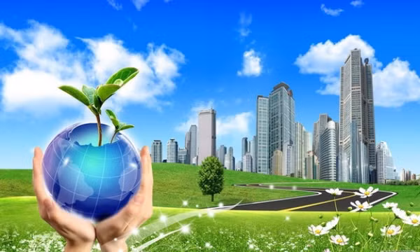 Dự án đầu tư sử dụng đất phải bảo đảm không làm ô nhiễm, thoái hóa chất lượng đất