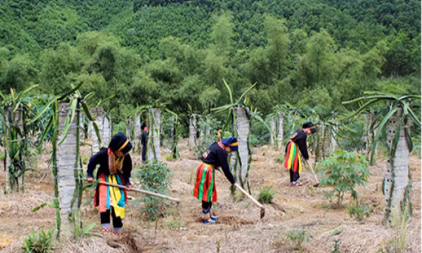Phát huy vai trò chủ động trong phát triển kinh tế và xây dựng gia đình ấm no, hạnh phúc