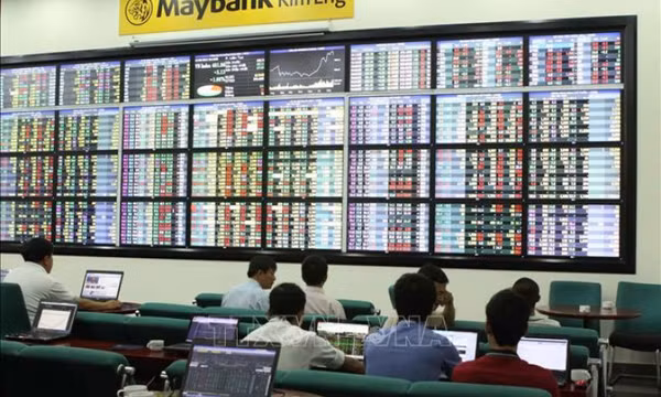 Nguyên nhân nào khiến chứng khoán tăng mạnh rồi lại giảm sâu?