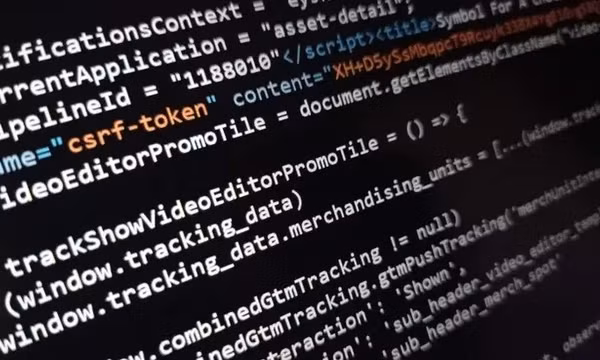 Vô tình xem nguồn trang web, một phóng viên bị điều tra hình sự