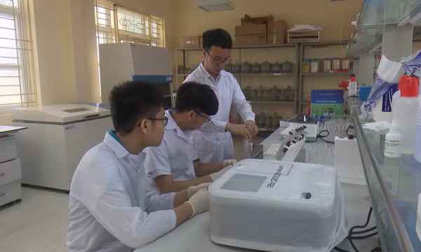 Khơi nguồn cho những đam mê sáng tạo khoa học