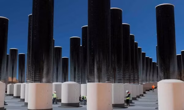 Trang trại cây nhân tạo hút 1.000 tấn CO2 mỗi ngày