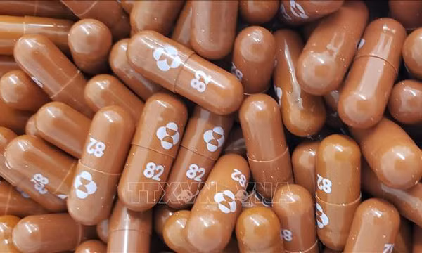 Đồng ý đề xuất cấp giấy lưu hành với thuốc chứa Molnupiravir điều trị COVID-19