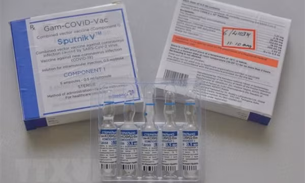 Nga sắp lưu hành vaccine ngừa COVID-19 Sputnik V dạng xịt mũi