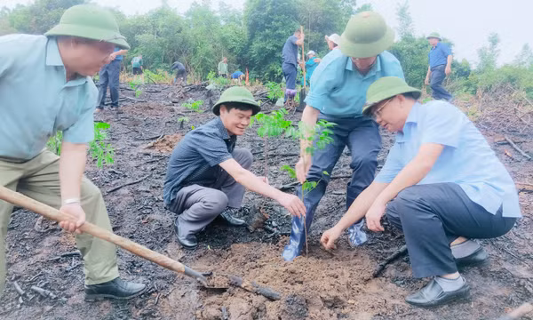Ban Dân tộc tỉnh ra quân trồng rừng gỗ lớn tại Ba Chẽ
