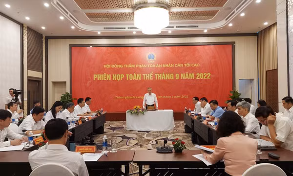 Hội đồng Thẩm phán TAND tối cao cho ý kiến đối với đề nghị xây dựng Luật Tư pháp người chưa thành niên