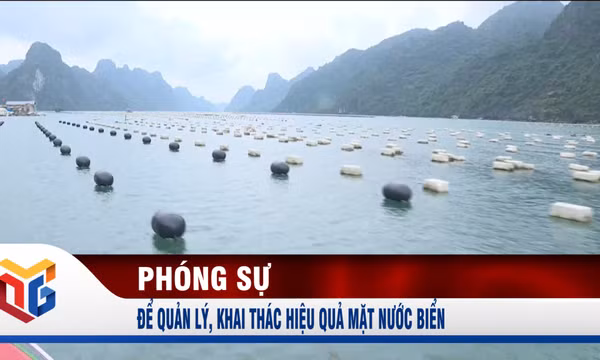 Để quản lý, khai thác hiệu quả mặt nước biển