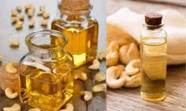 Lợi ích của dầu hạt điều đối với làn da và mái tóc