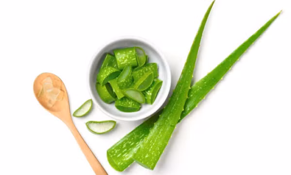9 giải pháp giảm ngứa do mề đay lúc chuyển mùa