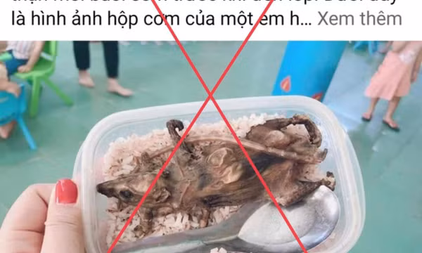 Hộp cơm thịt chuột trong bữa ăn học sinh vùng cao là không chính xác