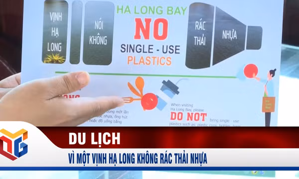 Vì một Vịnh Hạ Long không rác thải nhựa