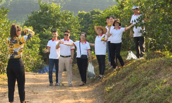 Du lịch trải nghiệm ở Dương Huy (Cẩm Phả)