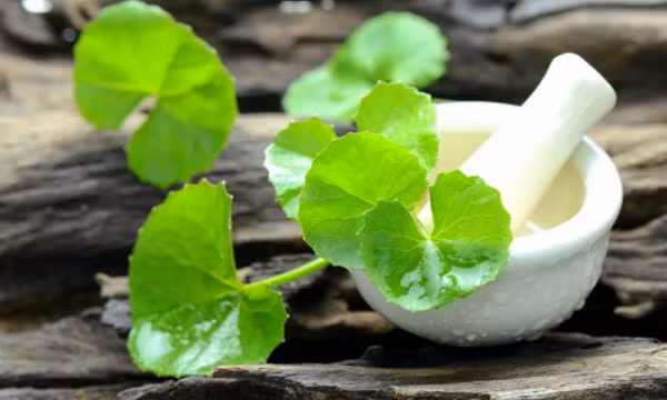 3 cách sử dụng rau má trong chăm sóc, làm đẹp da