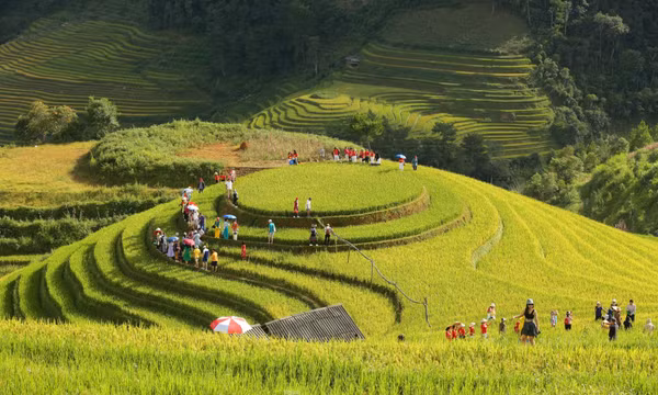 Mê mẩn ngắm tuyệt tác của núi rừng Tây Bắc