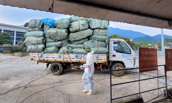 Cửa khẩu Bắc Phong Sinh thông quan trở lại sau hơn 7 tháng tạm dừng hoạt động