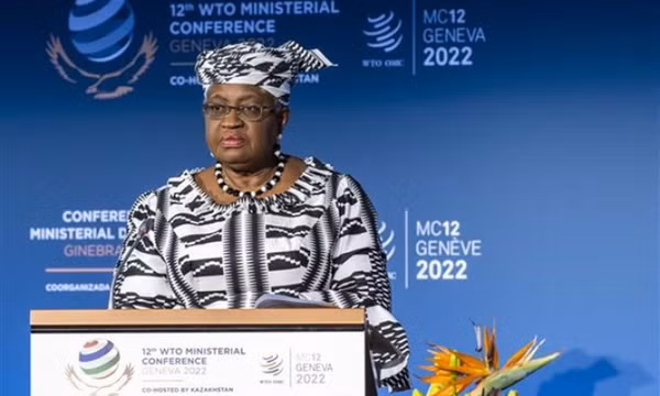 Tổng giám đốc WTO: Kinh tế thế giới đang trên đà suy thoái