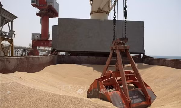 Kêu gọi hành động khẩn cấp để ứng phó khủng hoảng lương thực toàn cầu