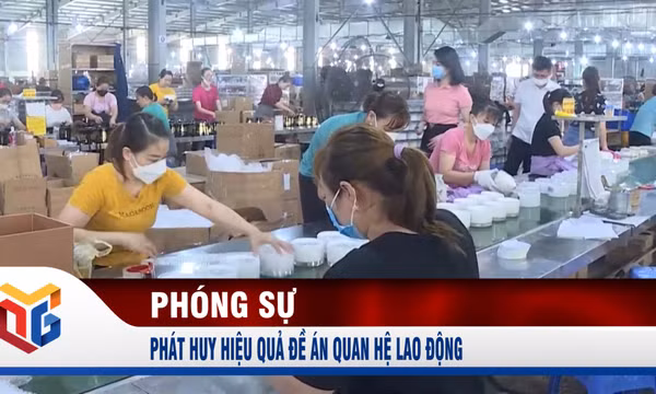 Phát huy hiệu quả Đề án quan hệ lao động
