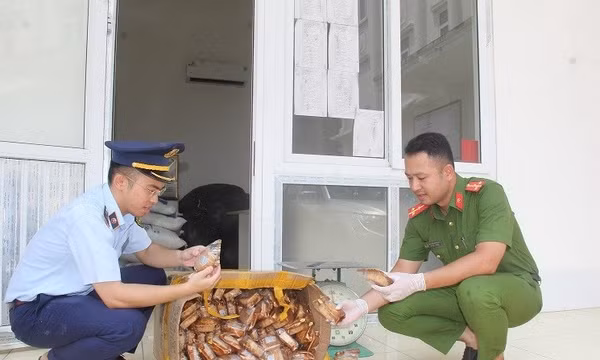 Ém hàng trăm hộp bánh trung thu cùng bì lợn, gà đông lạnh