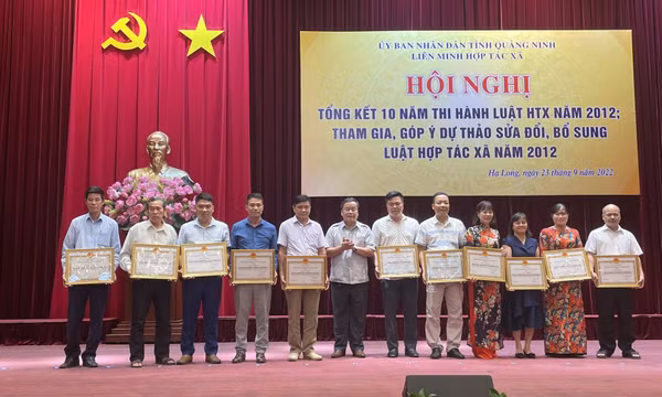 Tổng kết 10 năm thi hành Luật Hợp tác xã năm 2012