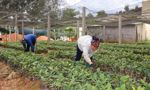 Bảo tồn các nguồn gen động, thực vật quý