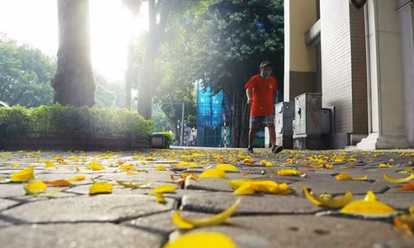 Bắc Bộ mưa to cục bộ vào chiều tối, đề phòng có lốc và gió giật mạnh