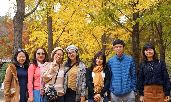 Việt Nam dẫn đầu ASEAN về lượng khách đến Hàn Quốc