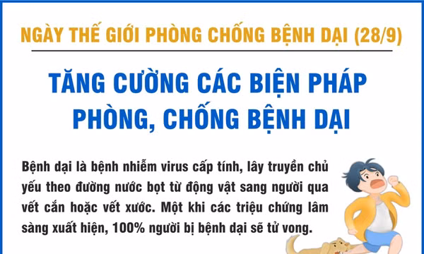 Tăng cường các biện pháp phòng, chống bệnh dại