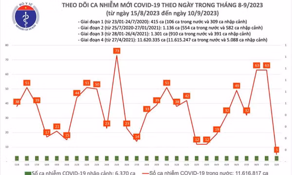 Ngày 10/9: Chỉ có 5 ca COVID-19, cả nước không còn bệnh nhân thở máy